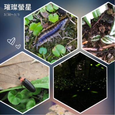 璀璨螢星