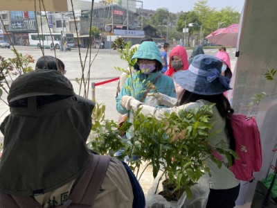 民眾踴躍索取樹苗也同步捐贈發票做愛心