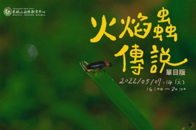 火焰蟲傳說單日型海報