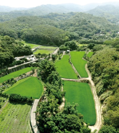 淺山資源豐富，除了生產富饒的食材，也孕育野生動物(新竹林區管理處提供)