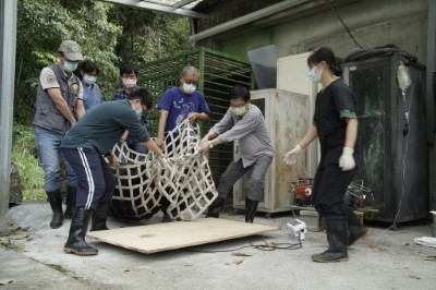 圖說：黑熊野放前置作業，由特生中心急救站同仁協助幫黑熊量測體重，執行健康檢查。（林務局東勢林區管理處提供）