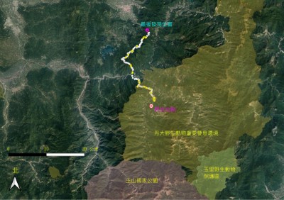 東卯山黑熊今（111）年4月12日異地野放至丹大野生動物重要棲息環境，但很快向北移動，穿越電子圍籬範圍。