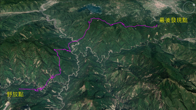 東卯山黑熊從野放地點至最後發現點立體路徑圖