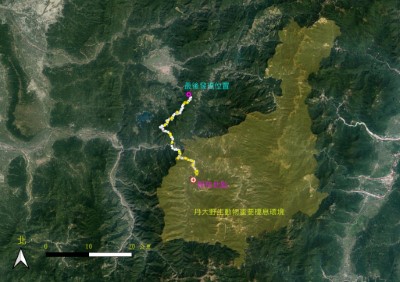 東卯山黑熊野放地點至最後發現地點