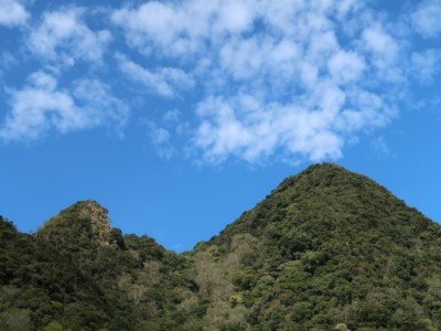 行走於東眼山步道內遠眺親子峰(新竹林區管理處提供)