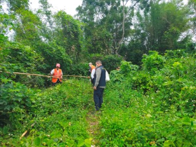 林管處結合保七總隊及南海賽鴿協會一同至現場取締及拆除