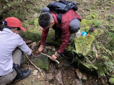 以水管及樹葉聚水(新竹林區管理處提供)