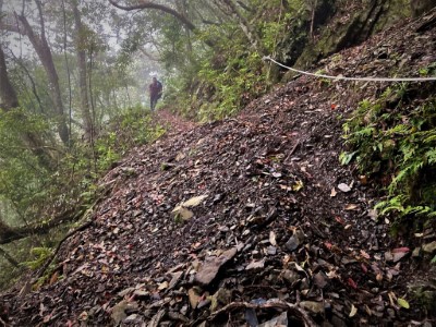 福巴越嶺步道-仍有部分路段需要小心通行(新竹林區管理處提供)