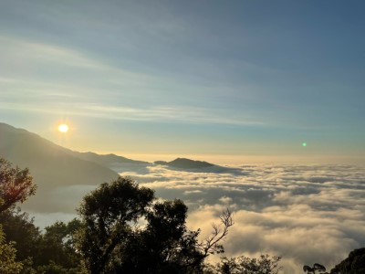 觀霧國家森林遊樂區觀看雲海變化(林務局提供)