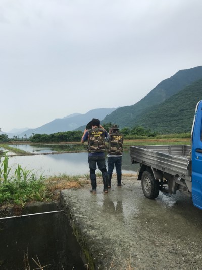 外來種入侵移除隊搜尋鳥蹤