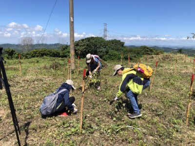 嘉義基督教醫院員工動手除草護樹