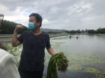 李金洲農民在他的田前述說参與水雉巡守隊，主任每次都會陪同；當劉老師說水雉在我的田裡築巢時，我覺得我要試試看為牠們做一些什麼事