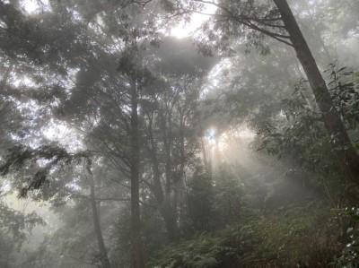 美瓏山林道施工5