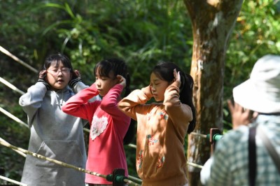 小朋友們仔細聆聽森林裡的聲音