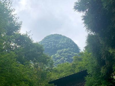 於森林小舖上方可以看到圓圓的滿月圓山頭名(由滿月圓遊客中心提供)