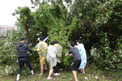 5民眾齊力雨中拔蔓生信心