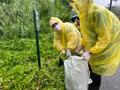 新竹林區管理處及苗栗縣政府同仁合力清除小花蔓澤蘭