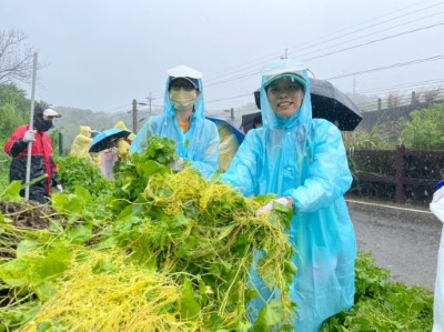 新竹林區管理處夏處長榮生(右)、苗栗縣政府農業處張科長葦(左)親自示範清除小花蔓澤蘭合影