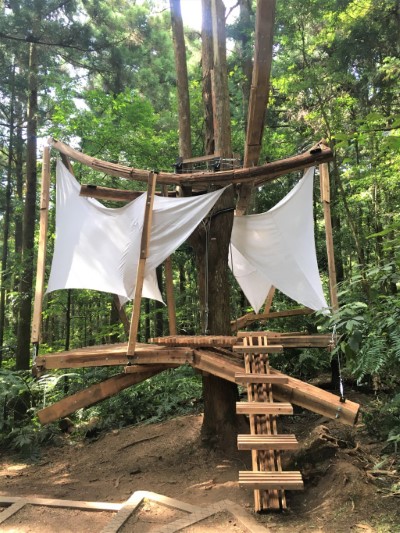 仿生精靈台灣紋白蝶將與森林木十人的「繫森」譜出怎樣的樂章(新竹林區管理處拍攝)