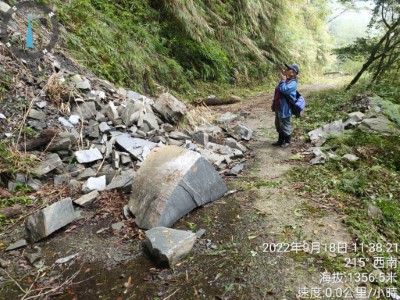 圖說：利嘉林道多處路段零星落石，3處落石嚴重。