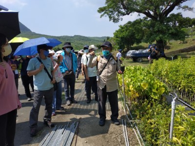 在墾丁苗圃聆聽育苗過程