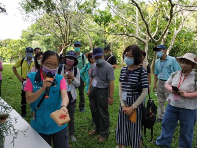 解說貴重木木材紋理、香味等辨識特徵