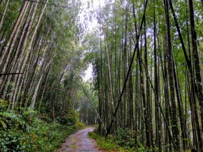 紅石林道與關山紅石步道自9月22日恢復開放