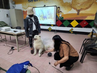 由狗狗示範精準式獵具
