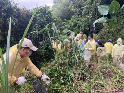 大家齊心協力除蔓中
