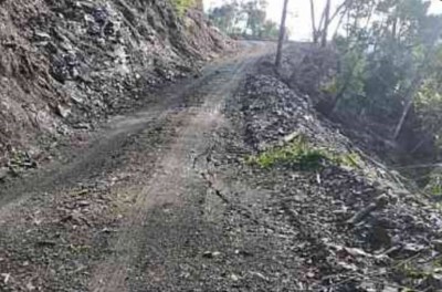 美瓏山林道2