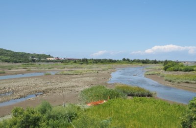 河川高灘地是淺山動物棲息與移動的關鍵棲地(新竹林區管理處提供)