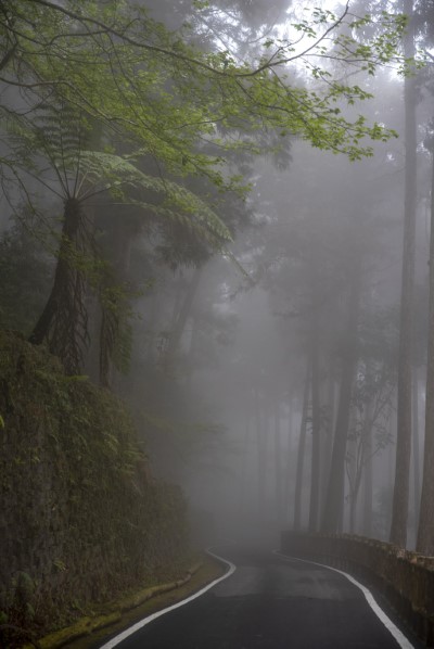 藤枝迎賓步道