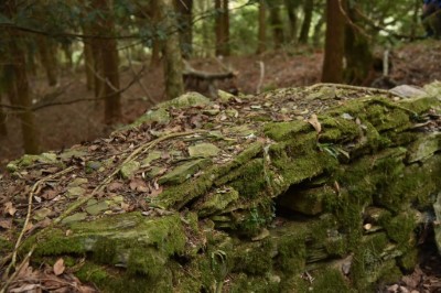 神崎駐在所遺址帶槍孔的駁坎，訴說著過去泰雅族人和駐地日警的衝突過往。