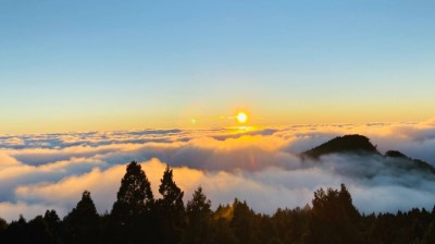 阿里山國家森林遊樂區觀夕陽、雲海