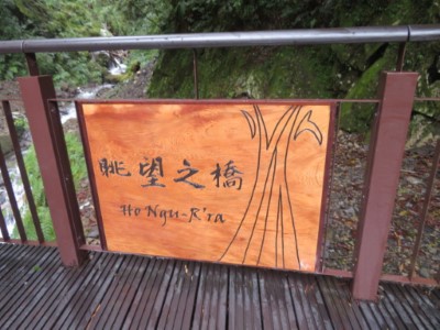 眺望之橋(新竹林區管理處提供)