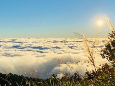 秋冬除了天氣穩定，也是阿里山最容易看到雲海的季節