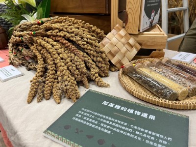部落植物的運用