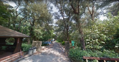海龍保安林內鬱閉完整林帶及遊憩步道(新竹林區管理處提供)