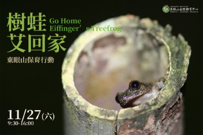 海報-樹蛙艾回家-謝謝你讓我安心孵卵(東眼山自然教育中心提供)