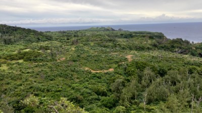 林務局臺東林管處在第2530號保安林積極植樹造林(鄰近觀音洞)