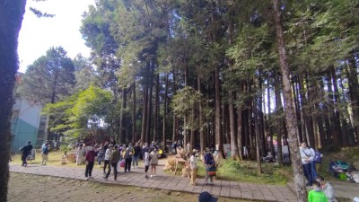 嘉義林管處3日起一連2天在阿里山國家森林遊樂區千歲檜周邊舉辦「山林野餐市集」