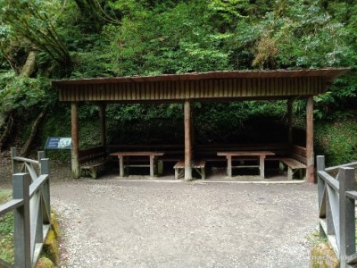 拉拉山巨木區步道