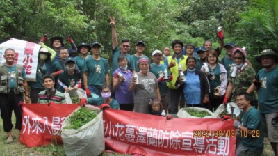 辦理小花蔓澤蘭移除宣導活動