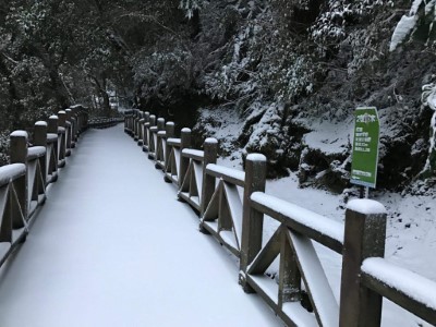 拉拉山雪景