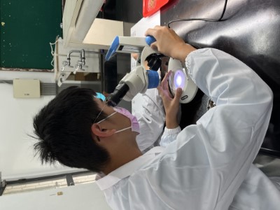 嘉義大學團隊帶領新竹高中學生觀察細葉杜鵑種子型態