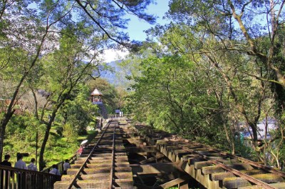 林田山林業文化園區-鐵道(陳美彤拍攝)