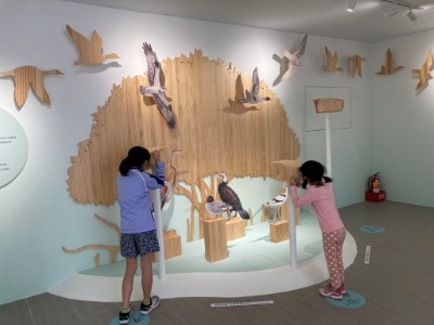 鰲鼓濕地森林園區東石自然生態展示館2樓「看見自然的律動」展覽吸引小朋友駐留觀察濕地鳥類生態
