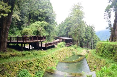 嘉義林管處於阿里山國家森林遊樂區神怡橋兩期整治工程成功保全周邊檜木群及神木車站等重要設施