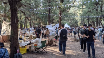 漁光保安林除具有防止飛沙侵襲功能，亦為台南重要觀光景點，漁光島藝術節期間吸引大批民眾親近保安林環境