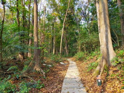 紅毛埤保安林風景優美，為嘉義市民的後花園，同時保護蘭潭水庫周邊土砂穩固